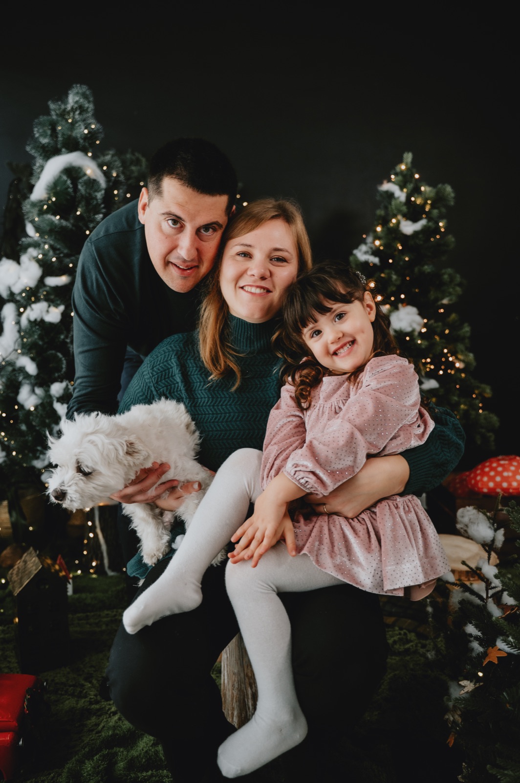 Famiglia seduta con la bambina e il cane fra gli abeti decorati