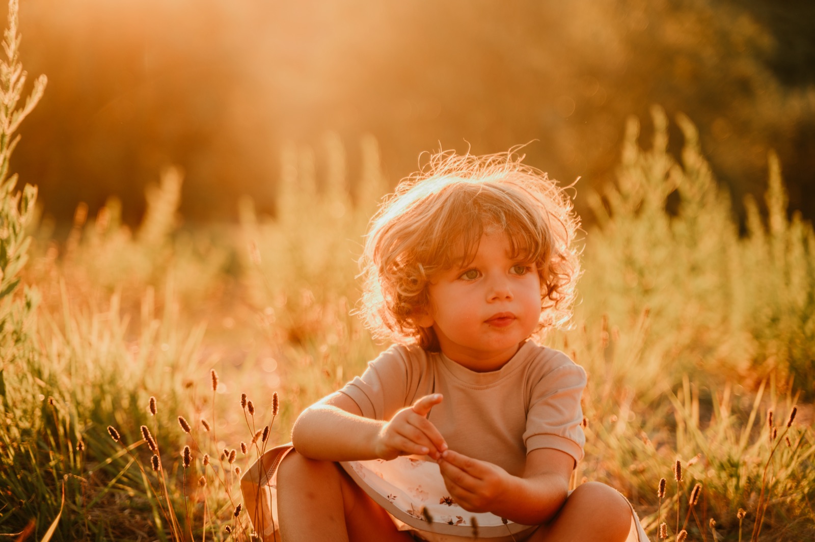 Bambino seduto nell'erba alta nella luce del tramonto